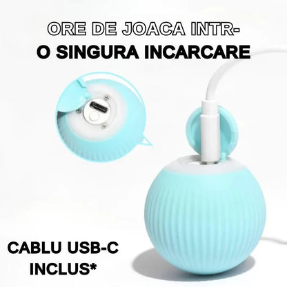 FurryJoy – Joacă Non-Stop, Chiar și Când Nu Ești Acasă!